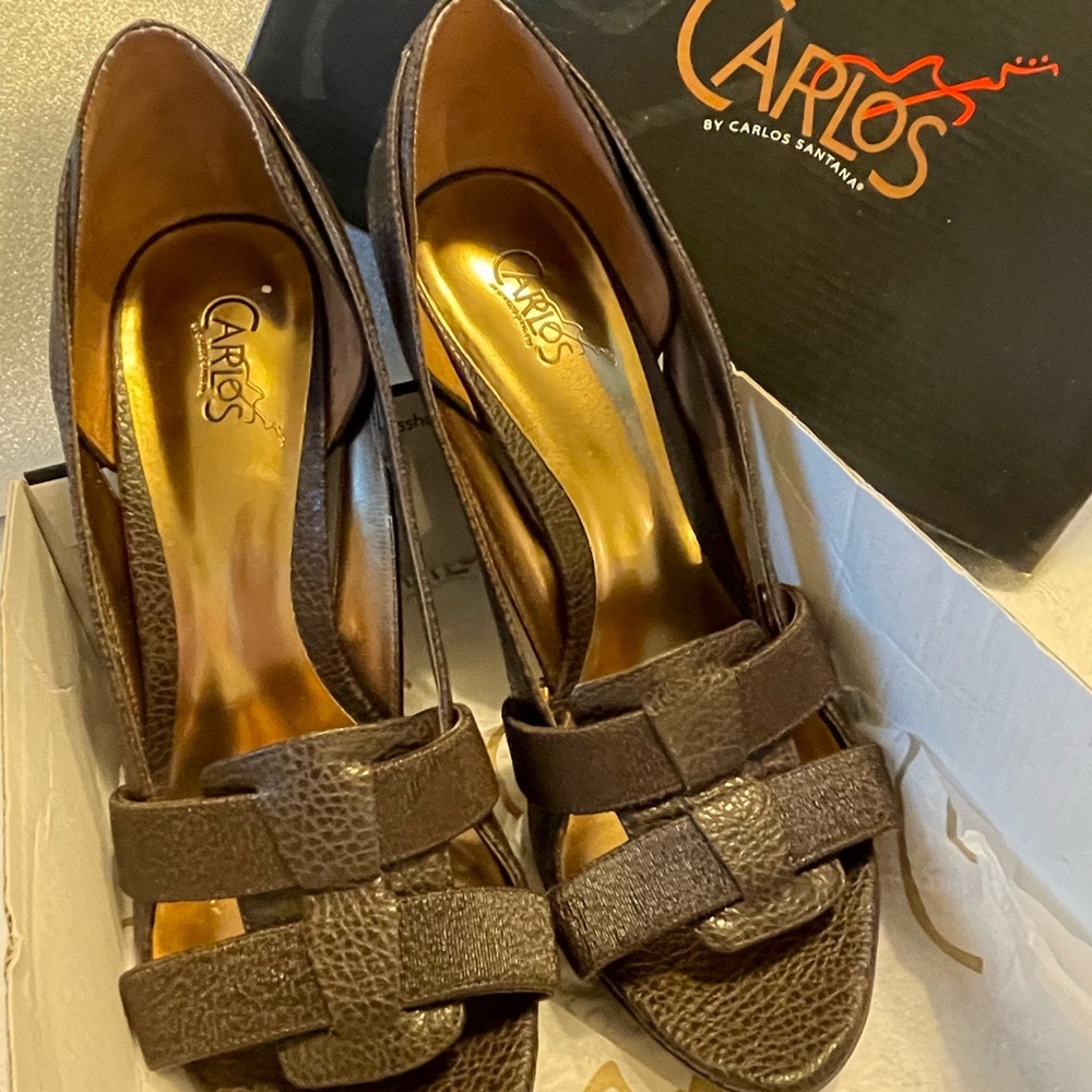 Beautiful Carlos by Carlos Santana high heeled shoes. Style name Proud in brown
